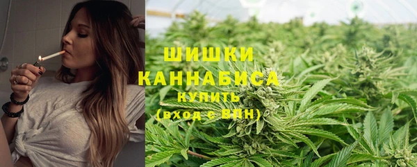 дурь Горно-Алтайск