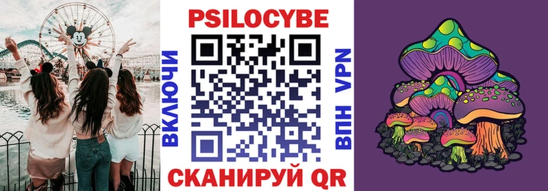 Псилоцибиновые грибы мицелий Ноябрьск