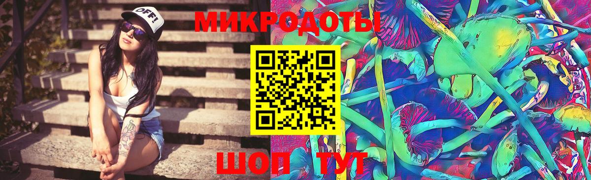 Галлюциногенные грибы Psilocybine cubensis Ноябрьск